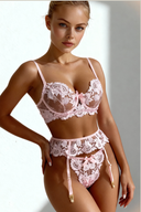 Spitzen-Lingerie-Set in Blütenblattrosa 